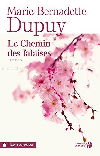 couverture de : Le chemin des falaises / roman