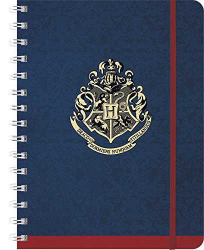 Preisvergleich Produktbild Harry Potter 2019 Weekly Planner