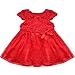 iiniim Baby Girl's Rose Flower Wedding Princess Dress Kids Formal Pageant Christening Dresses Red 9-12 Months