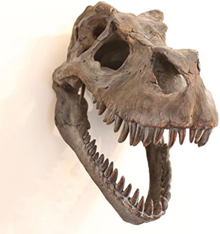 Oldbritain Tyrannosaurus Rex (T-Rex) Skull Wall Model