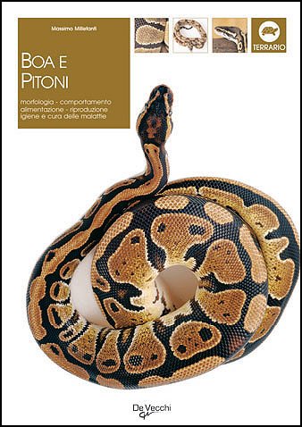 Boa e pitoni Boa e pitoni