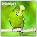 Budgerigars - Wellensittiche 2018: Original Avonside-Kalender [Mehrsprachig] [Kalender] (Wall-Kalender) by 