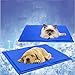 Produktbild XULO Kühlmatte Hund Ungiftiges Kühlende Artefaktsommerhundemattenmatte Hundekäfigkühlungsmatte des Sommerhaustiereises,Blue-M