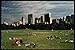 Produktbild 148094 Great Meadow Central Park A4 Photo Poster Print 10x8