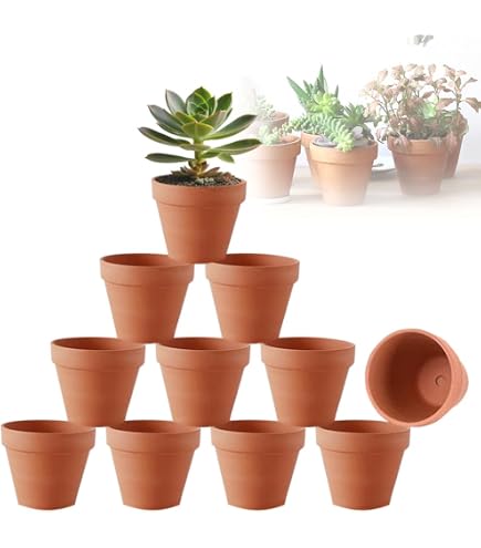 Yardwe 12 Mini Vasi In Terracotta Per Piante Grasse E Bonsai - Piccoli Vasi In Argilla Con Drenaggio, Ideali Per Decorazione Fai Da Te - 4
