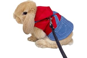 Anelekor Costume de lapin pour petit animal de compagnie, vêtements à capuche pour furet, sweat-shirt, gilet lapin, harnais et laisse pour chaton, chihuahua, chaton, mini chien et petite race (A, M)
