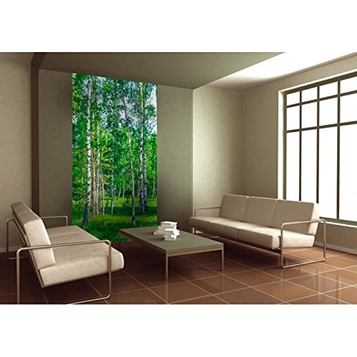 Vlies Fototapete – Birkenhain 110 x 220 cm - 4