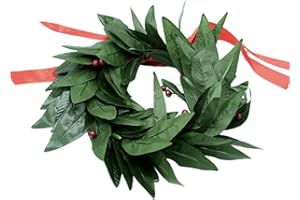 FOXNEC Laurel Crown Graduation Plastic Men Women with Red Bow and Fake Berry for Party Accessories (Crown-B)