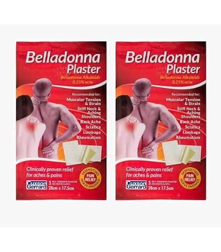 Patch Hansaplast Soulagement Douleur Au Lion (Belladone) - Traité Thermiquement, Senteur Herbale, Neuf
