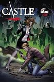 Cover zum Buch Castle: Unholy Storm
