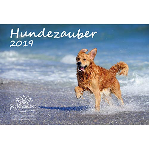 Download Chien magique – Format A4 – Premium Calendrier 2019 · Chien Chiot – Animaux – Coffret cadeau avec 1 carte de vœux et 1 carte de Noël – Édition âme magique Download Chien magique – Format A4 – Premium Calendrier 2019 · Chien Chiot – Animaux – Coffret cadeau avec 1 carte de vœux et 1 carte de Noël – Édition âme magique