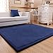 Produktbild AJOG- 3cm verdicktes Fenster zu Hause Korallen-Samtteppich Wohnzimmer-Schlafzimmer Nachttisch kriechen Matte,Blue,80x200cm