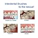 MLMSY 50 Pcs 2.5MM Interdental Brush Toothpick Tooth Cleaner Floss Sticks Oral Dental Hygiene Brush Soft Picks Healthy Gums Tooth Cleaning Tool (50 Pcs 1 box)