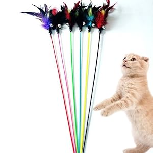Cdet 5X Las Plumas largas de la Cuerda Toman el Pelo Juguete de Plumas Interactivo para Gato,Color Aleatorio