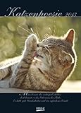 Katzenpoesie 2013 by 