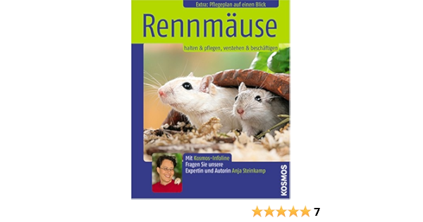 Rennmause Halten Pflegen Verstehen Beschaftigen Amazon De Steinkamp Anja Bucher
