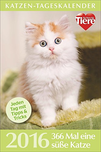 Katzen-Tageskalender 2016