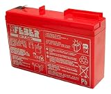 MADE IN SPAIN FEBER 800004279 - Batería