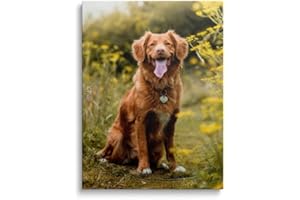 Impressions sur toile personnalisées avec vos photos Kits d'impression de collage d'art mural personnalisé Impression de cadeaux personnalisés / Impressions d'art mural / Photo de dortoir / Affiches