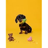 getmeev K&ouml;pekler İ&ccedil;in Peluş ve Halatlı Isırma ve &Ccedil;iğneme Oyuncağı, Yumuşak Dokulu Farklı Fig&uuml;r ve Renk Se&ccedil;enekleri, Isırma Ta