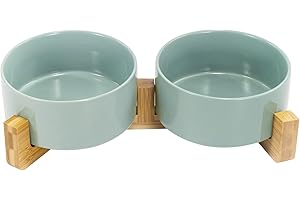 SPUNKYJUNKY Gamelle Double en Céramique avec Support en Bambou pour Chats et Chiens (850ml, Vert Clair)