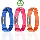 Hundehalsband, 3er Set, klassisch, robust, Hundehalsband aus...