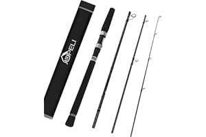 JUPELI Travel Spinning Rod 1.98m/2.1m/2.4m – 4-Piece Predator Heavy Power Fast Action Fishing Pole (Rod Only or Rod & Reel Combo Option) – Portable Gear for Pike, Perch & Trout in Rivers & Lakes