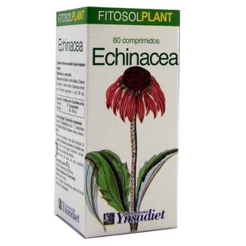 Preisvergleich Produktbild EQUINACEA 80 COMP COMP