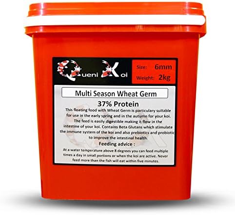Queni Koi - Multi Season Wheat Germ 6mm (2 kg) - Koi Food