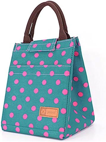 Cute Tote Bento Lunch Bag for Kids Girls School Cute Tote Lunch Bag Insulated Cooler Stylish