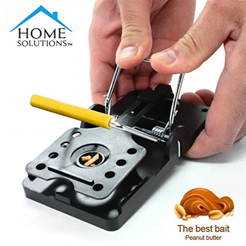 Cookey Mouse Trap 6 Pack Frühlingsgeladene Bar Trap Kill Catch Mäuse, Quick Set Wiederverwendbare Maus Control Snap Traps - 2