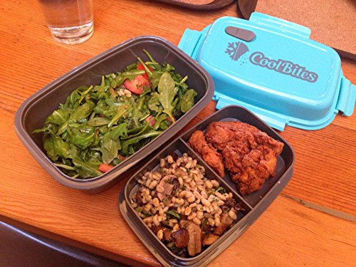 Coolbites Bento-Lunchboxen, brotdose Bento Mittagessen mit Eisbeutel – bis zu 4 Fächern – Für Kinder & Erwachsene – ideal für Zurück zu Shcool … - 3