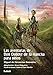 Las aventuras de Don Quijote de la Mancha para niños (La brújula y la veleta nº 14) (Spanish Edition) by 