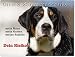Produktbild Merchandise for Fans Warnschild - Schild aus Aluminium 20x30cm - Motiv: Grosser Schweizer Sennenhund Security (01)