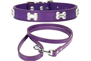 NEUSOP Collare Cane in Pelle Regolabile Guinzaglio per Cani, Collare per Cani, Collari per Cani Gatti Cucciolo Collare per Animali Domestici M