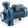 Pedrollo High flow rates Centrifugal Electric Water Pump HF 30A 10Hp 400V