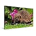 Produktbild Premium Textil-Leinwand 90 cm x 60 cm quer, Igel im Garten | Wandbild, Bild auf Keilrahmen, Fertigbild auf echter Leinwand, Leinwanddruck: Besuch im Futternapf (CALVENDO Tiere)
