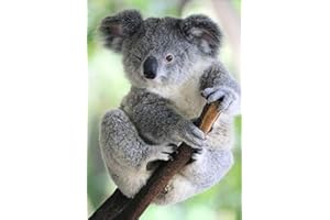 DCIDBEI Kit Fai Da Te 5D per Pittura a Mosaico con i Numeri Koala Full Drill Diamond Painting Animal Diamante Wall Art Kit di pittura con diamanti da ricamo Adesivo da Parete per Decorazione 30 x 40 cm