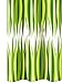 Produktbild Lashuma Vinyl Duschvorhang 180x200 mit Ringen CIUFFI Transparent mit grünem Blattmuster, Badewannenvorhang Anti - Schimmel Effekt