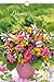 Blumen 2012. Kalender 23,7 x 34 cm mit Ringbindung by 