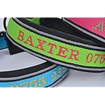 Personalizzato-collare-e-guinzaglio-set-ricamato-Pet-Name-Phone-number-reflective-Stitch-per-cane-sicurezza-Heavy-Duty-regolabile-per-piccolo-medio-grande-cani-gatti-previene-la-perdita-Pet
