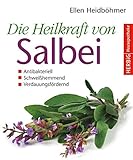 Image de Die Heilkraft von Salbei: Antibakteriell - Schweißhemmend - Verdauungsfördernd