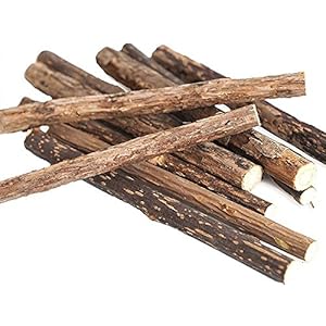 Pet Cat Molar Zahnpasta Stick Matatabi Katzenminze Molar Silvervine Cat Nip Spielzeug (2Taschen, 10Stück)