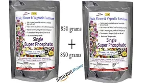 TSR Organic Fertilisers & Pesticides Single Super Phosphate, P Available, WS, Sulphate Sulphur Multi Purpose Fertilizer (850+850 Grams)