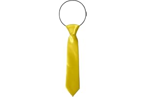 FATASH Kids Pre-Tied Neck Ties With Loop, Elastic Clip-On Skinny Tie, Solid Color Satin Silk Neckties for Toddlers Boys, Suitable for Birthday Party, Wedding