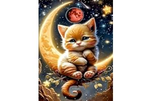 Yufengliye 5D Diamond Art Painting Set, DIY Diamond Painting, Pittura digitale del diamante del ricamo della croce del diamante dell'acqua, parete della decorazione domestica (gatto della luna)