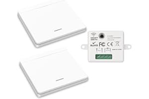 YOUNLEN interruttore senza fili della luce, interruttore di sicurezza trasmettitore RF e controller ricevitore 10A, installazione semplice per lampade fino a 1500W（1 ricevitore e 2 interruttori）