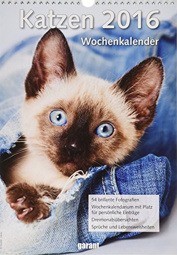 Wochenkalender - Katzen 2016