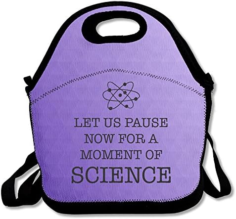 Let Us Pause Now For A Moment Of Science Lunch Bag Adjustable Strap