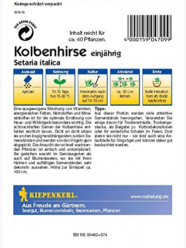 Kiepenkerl Kolbenhirse - 2